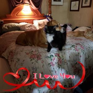 Meet your Posher, Sherry